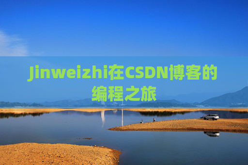 Jinweizhi在CSDN博客的编程之旅